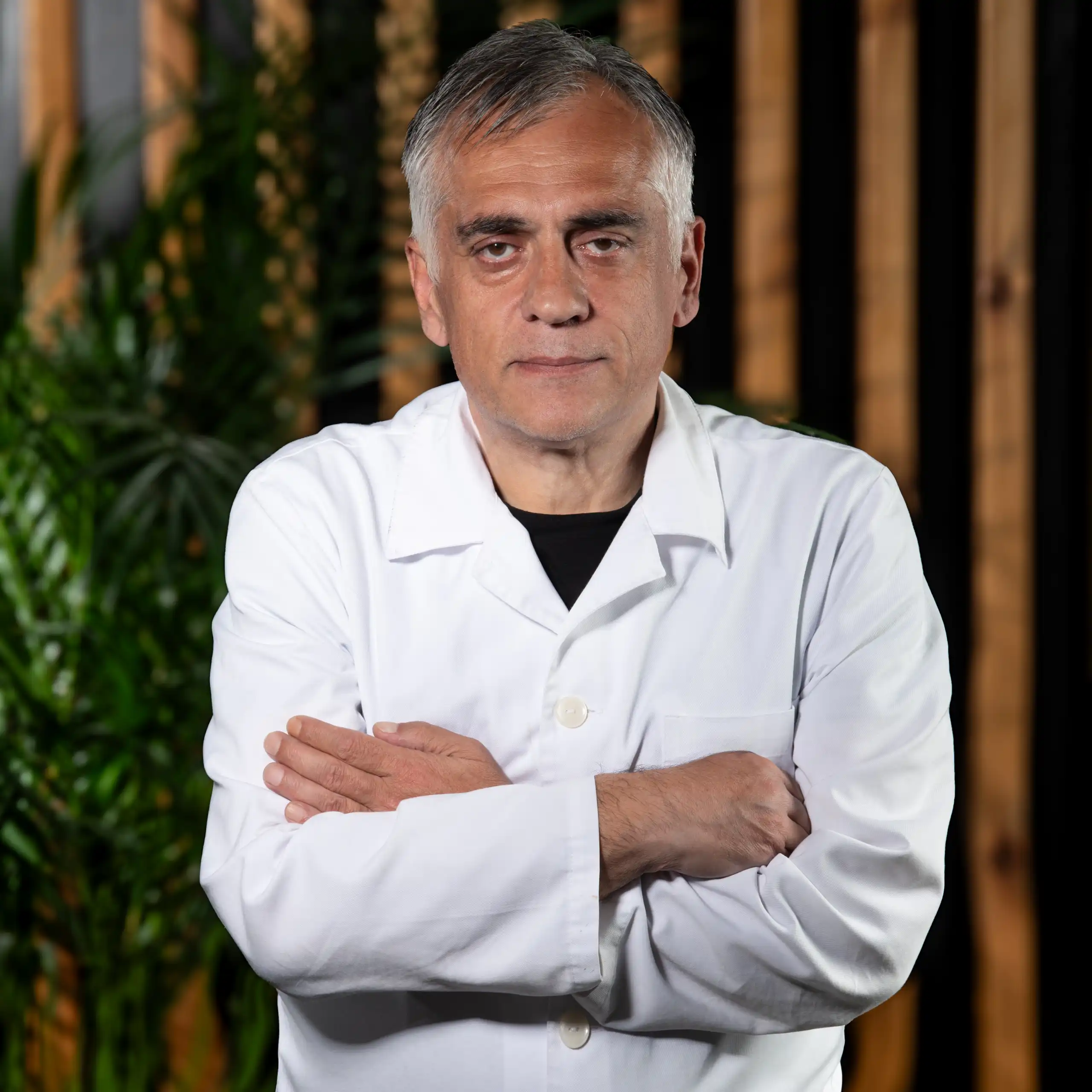 გიორგი ბოლქვაძე