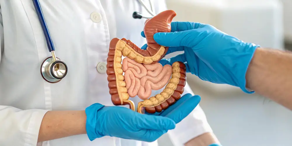 რას მოიცავს გასტროენტეროლოგია?